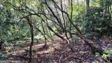 701 St Hwy 356 - Photo 12