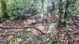 701 St Hwy 356 - Photo 14