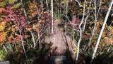 701 St Hwy 356 - Photo 18