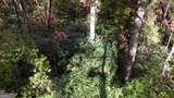 701 St Hwy 356 - Photo 24