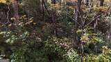 701 St Hwy 356 - Photo 26