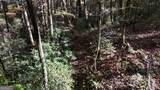 701 St Hwy 356 - Photo 27