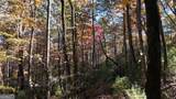 701 St Hwy 356 - Photo 28