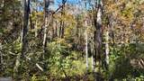701 St Hwy 356 - Photo 7