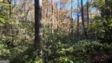 701 St Hwy 356 - Photo 8