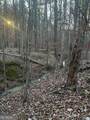 0 River Ridge Trail - Photo 4