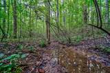 0 Borrow Pit Road - Photo 4