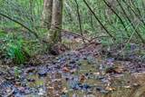 0 Borrow Pit Road - Photo 5
