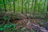 0 Borrow Pit Road - Photo 6