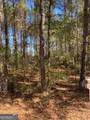 0 Triune Mill Road - Photo 1