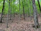387 Windflower Drive - Photo 6