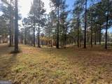 117 Overlook Drive - Photo 10