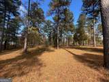 117 Overlook Drive - Photo 11