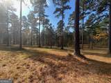 117 Overlook Drive - Photo 12