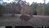 104 Beaver Dam Drive - Photo 57