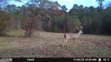 104 Beaver Dam Drive - Photo 58