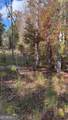 618 Steel Bridge Road - Photo 13