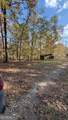 618 Steel Bridge Road - Photo 16