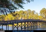 1103 Painted Bunting Drive - Photo 16