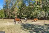 7790 Atlanta Newnan Road - Photo 6