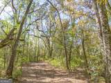 TRACT 1 Us Highway 17, Sanderling Trace - Photo 17