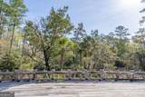TRACT 1 Us Highway 17, Sanderling Trace - Photo 21