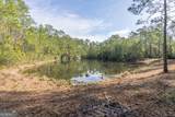 TRACT 1 Us Highway 17, Sanderling Trace - Photo 23