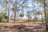 TRACT 1 Us Highway 17, Sanderling Trace - Photo 26