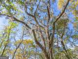 TRACT 1 Us Highway 17, Sanderling Trace - Photo 27