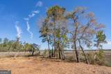 TRACT 1 Us Highway 17, Sanderling Trace - Photo 29