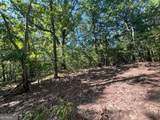 0 Vinson Mountain Road - Photo 2