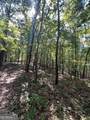 0 Vinson Mountain Road - Photo 3