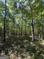 0 Vinson Mountain Road - Photo 4