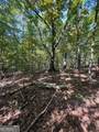 0 Vinson Mountain Road - Photo 6