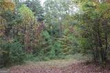 LOT 19 Owl Mountain Road - Photo 10