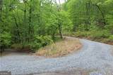 LOT 19 Owl Mountain Road - Photo 16