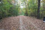 LOT 19 Owl Mountain Road - Photo 2