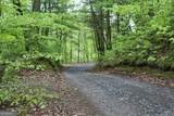LOT 19 Owl Mountain Road - Photo 25