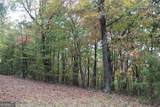 LOT 19 Owl Mountain Road - Photo 6