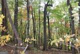 LOT 19 Owl Mountain Road - Photo 7