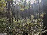 9 65AC Wilkins Cove Road - Photo 10