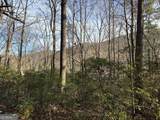 9 65AC Wilkins Cove Road - Photo 12
