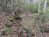 9 65AC Wilkins Cove Road - Photo 13