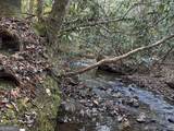 9 65AC Wilkins Cove Road - Photo 8