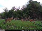 3625 Sylvester Highway - Photo 10