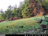 3625 Sylvester Highway - Photo 12