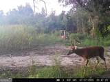 3625 Sylvester Highway - Photo 3