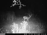 3625 Sylvester Highway - Photo 4