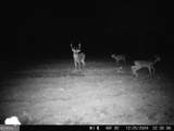 3625 Sylvester Highway - Photo 9