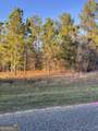 0 Canoochee Bypass Road - Photo 3